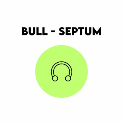 Bull - Septum